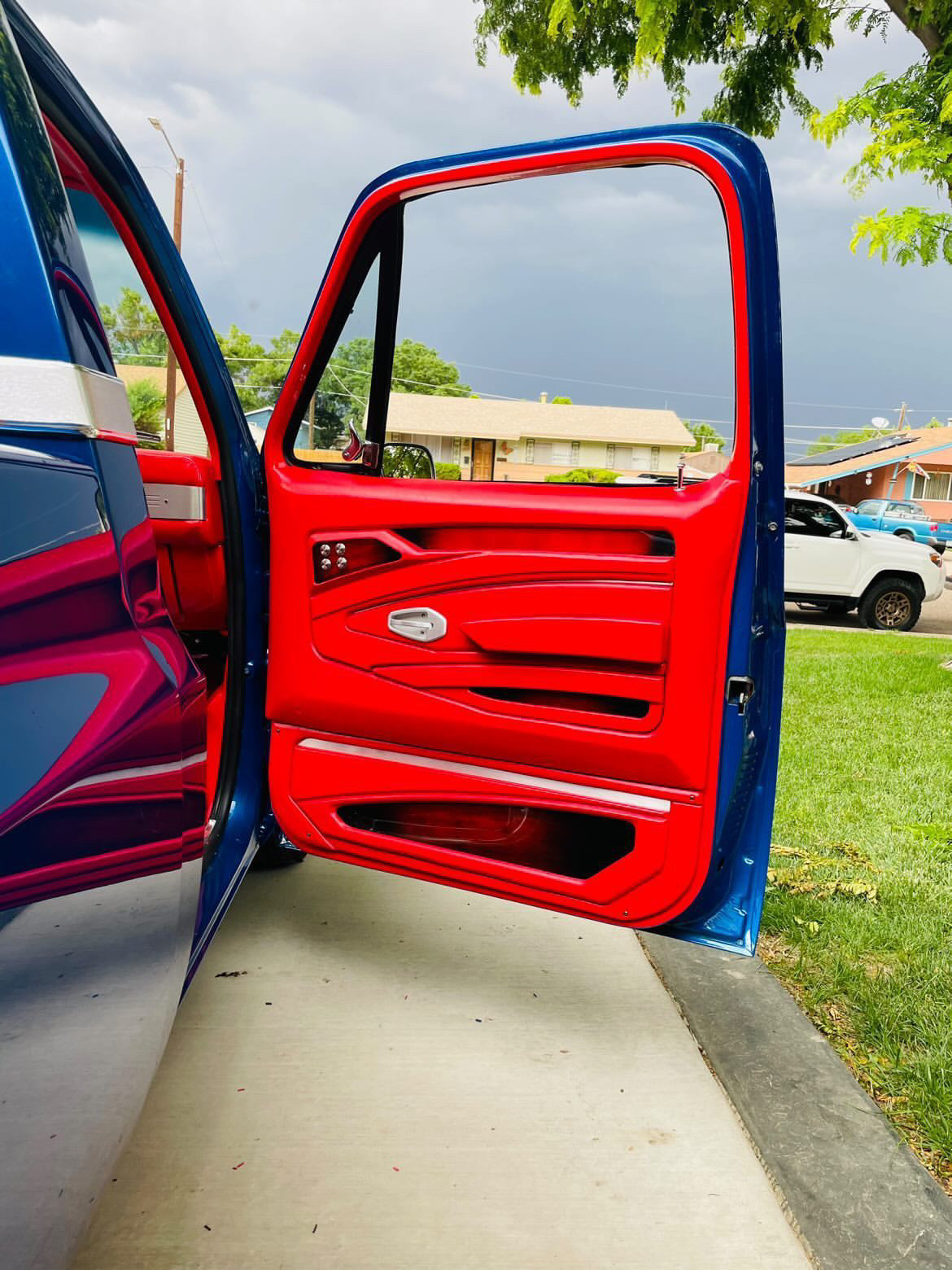 1970 chevy deals truck door panels